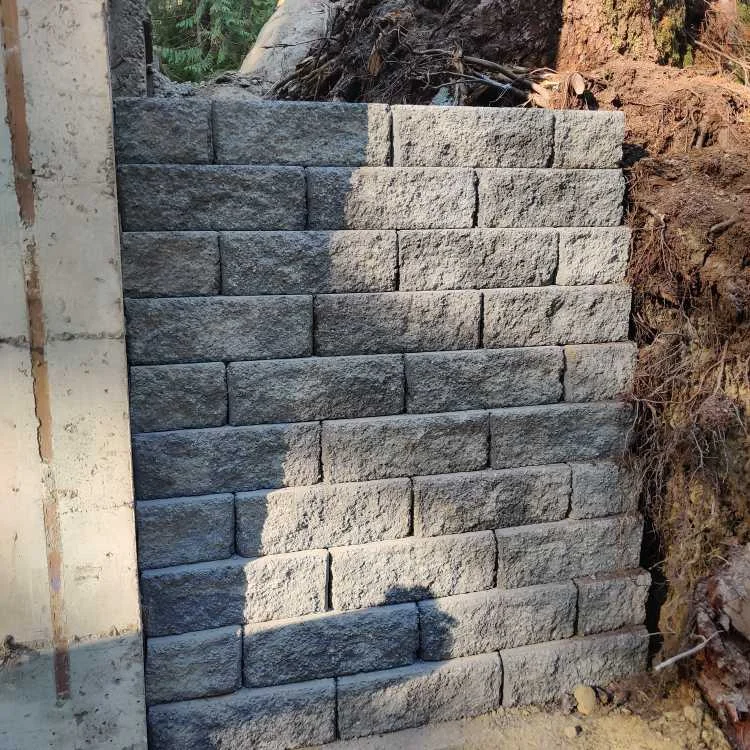 Block retaining wall beside the concrete foundation of my second house