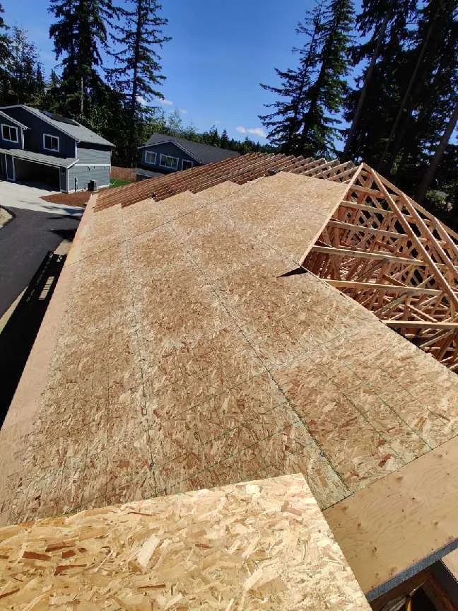 Partially completed OSB roof deck with exposed trusses