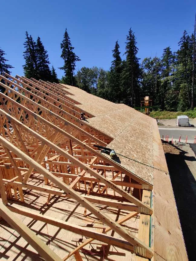 Engineered wood roof trusses with the first OSB sheathing panels installed